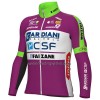 Set Fietsshirt Lange Mouw + Lange Koersbroek 2022 Bardiani-CSF Faizane Lila Groen